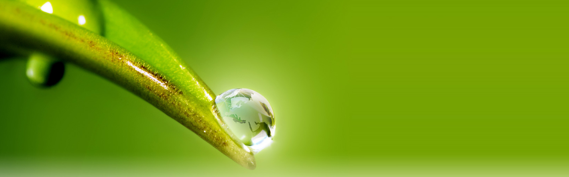 Better Environment, Better Tommorow